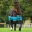 Horseware Amigo Mio Medium Turnout Rug - Black/Turquoise/Black
